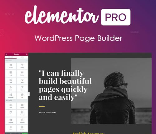 Elementor PRO WordPress Page Builder + Pro Templates