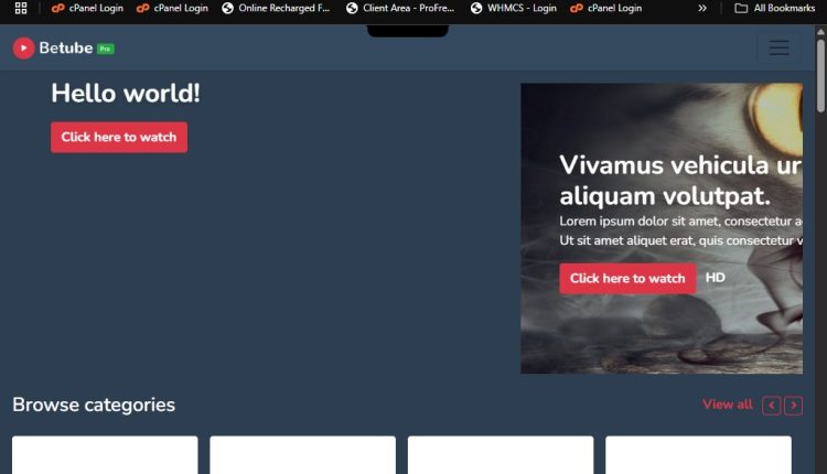 BETUBE PRO WORDPRESS THEM