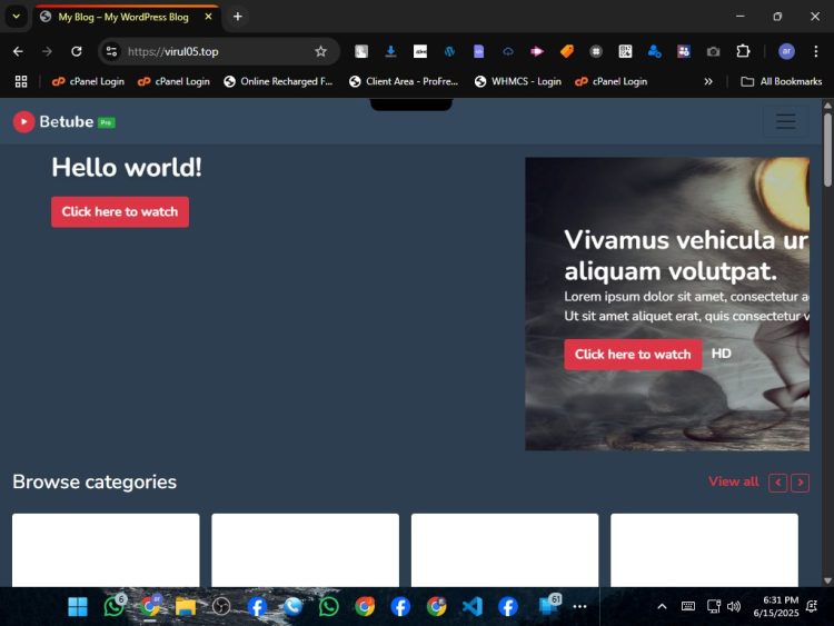 BETUBE PRO WORDPRESS THEM